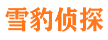 细河市私家侦探